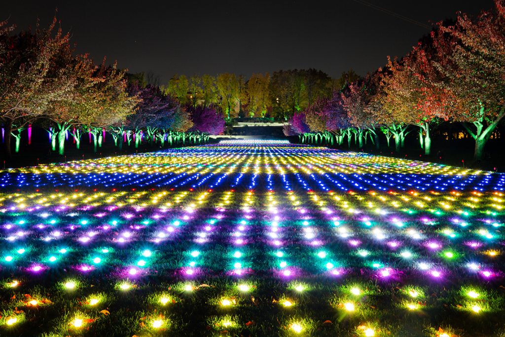 Lightscape At Brooklyn Botanic Garden