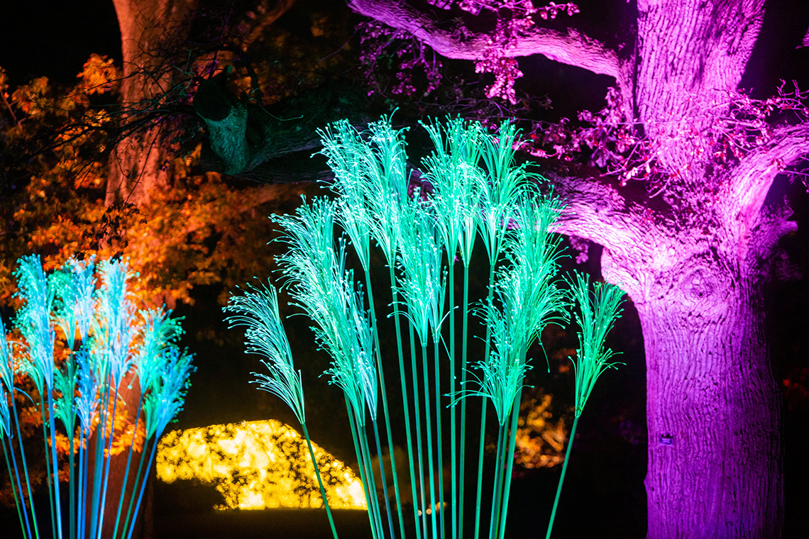 Lightscape At Brooklyn Botanic Garden