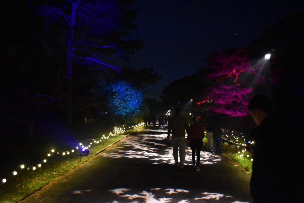 New York Botanical Garden Glow