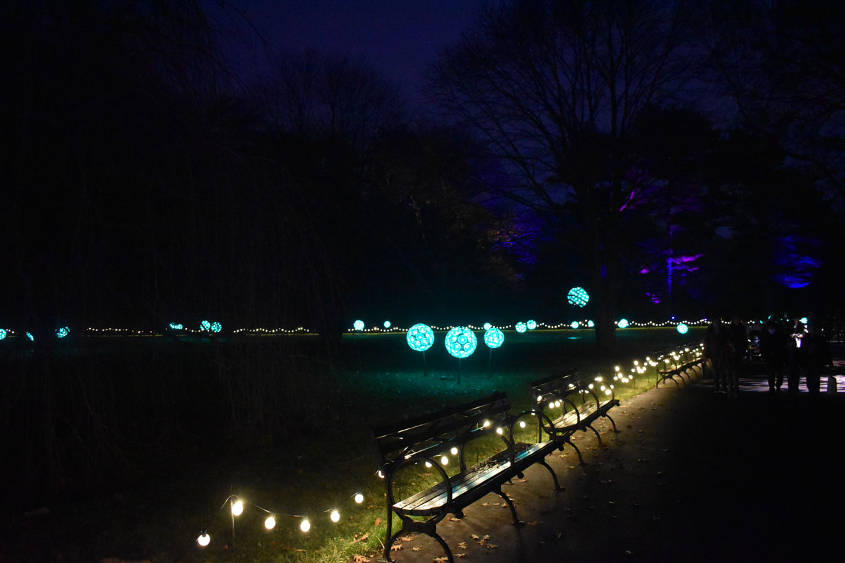 New York Botanical Garden Glow