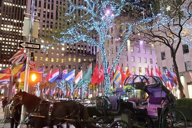 Magical NYC Christmas Lights Private Carriage Ride