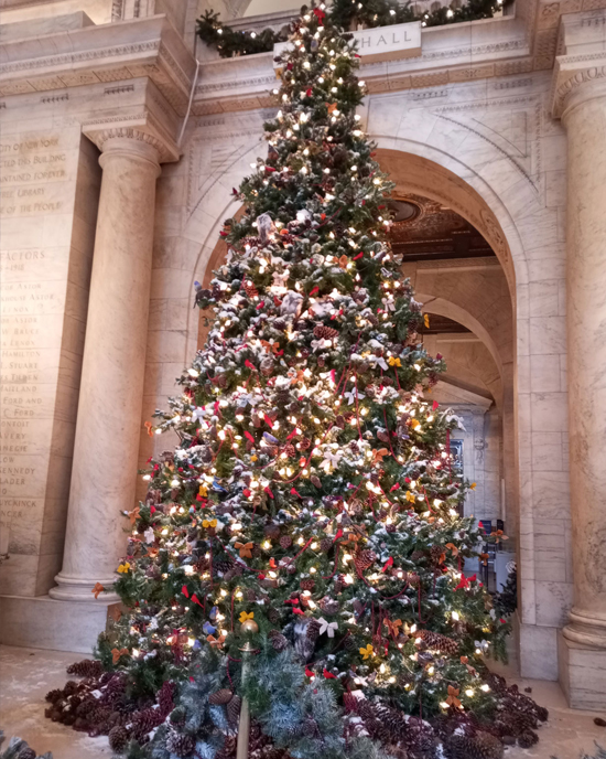 New York Christmas Trees