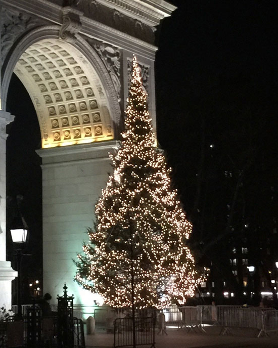 Washington Square Park Christmas Tree