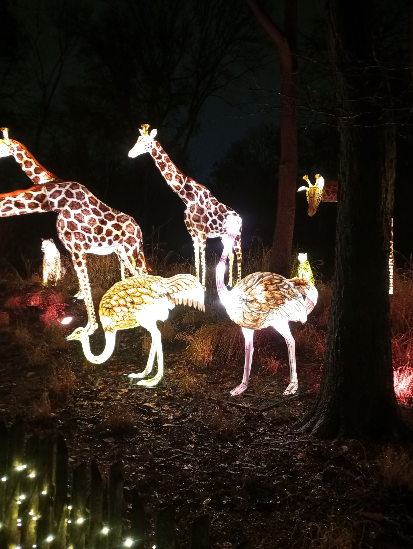 Bronx Zoo Lights